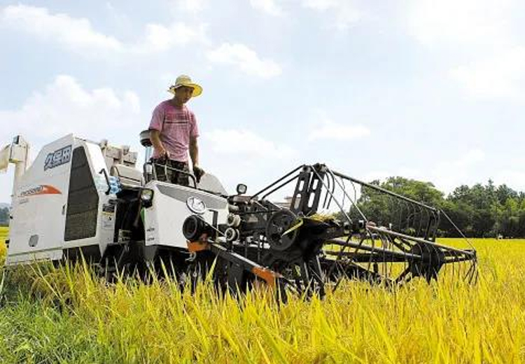 长征娱乐集团开展“我为收割队伍送清凉”慰问活动